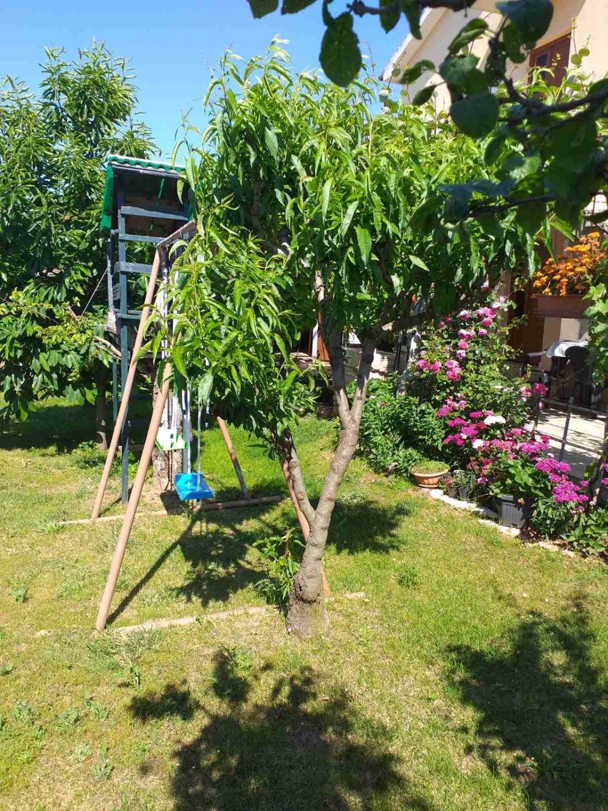 Ferienwohnung Lori Pula Exterior foto